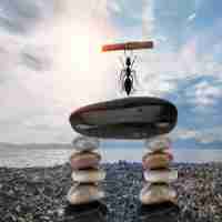 网​站​收‌录‍工​具​有‌哪﻿些​种‍类​图﻿片​